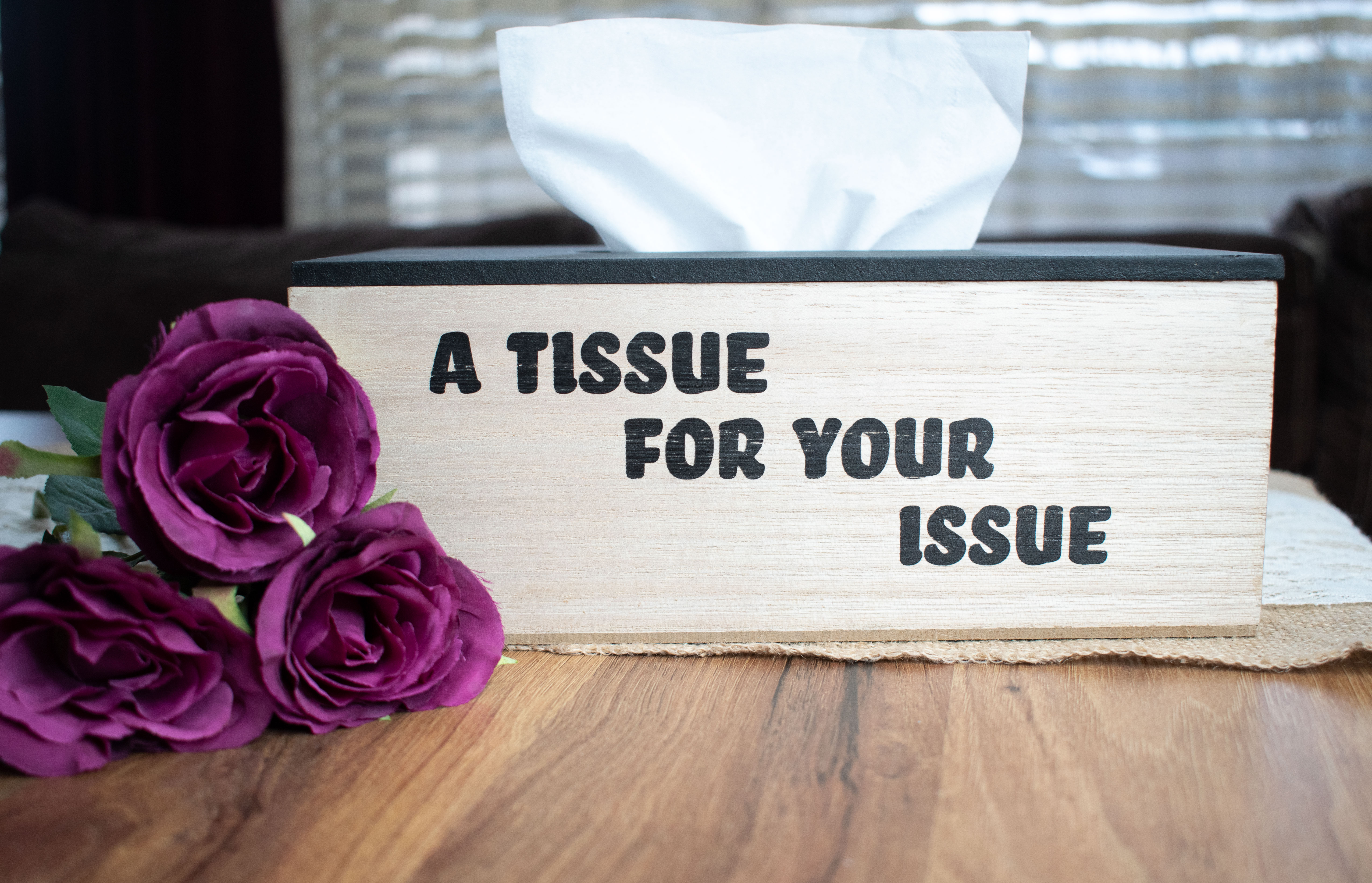 Кутия за Салфетки 4